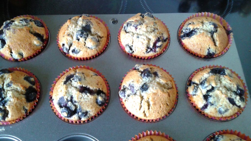 BlueberryMuffins